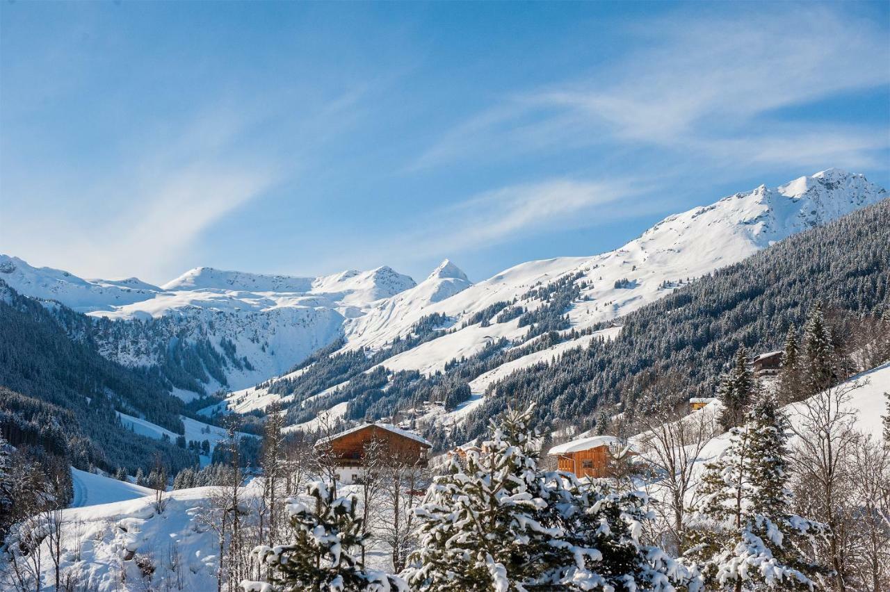 Appartement Berghof Saalbach-Hinterglemm Exterior foto